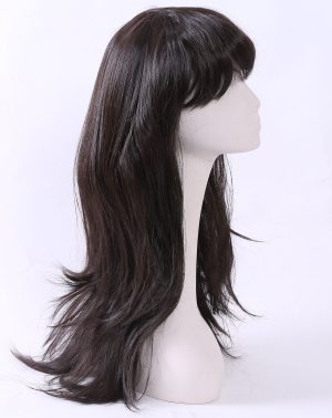 W169 Black Color Long Straight Hair Wigs With Blunt Bangs